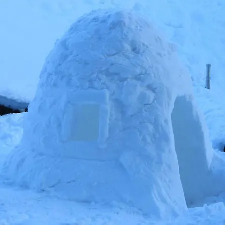 Alpine 1 Apartment *